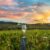 Know Everything About New York Wine Tours