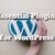 The Essential Plugins for a WordPress Website