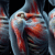 Acupuncture Techniques to Alleviate Frozen Shoulder Pain