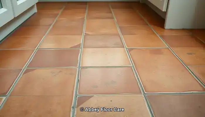 Understanding the Rapid Dirt Accumulation on Terracotta Floors